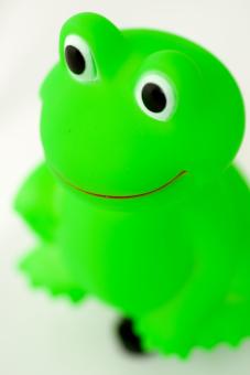 Liix Funny Horn Frog 2